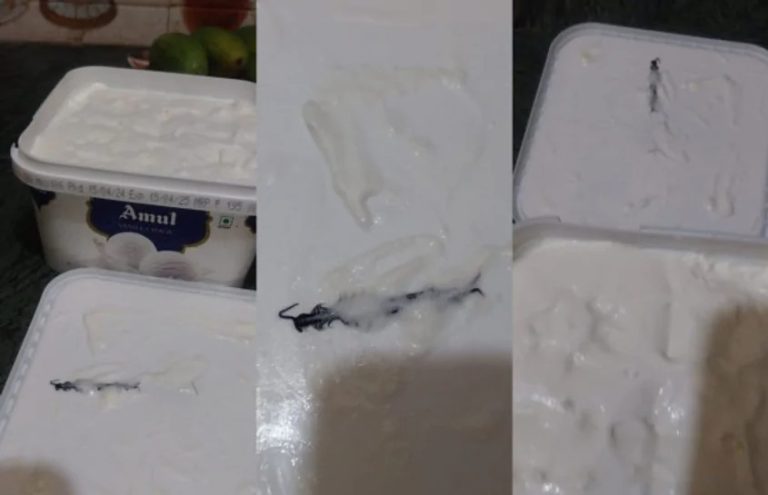 अमूल आइसक्रीम में निकला कनखजूरा तो हो गया केस दर्ज