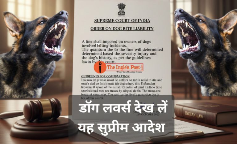 हर डॉग बाइट से मौत और चोट पर सुप्रीम कोर्ट सख्त, बड़े जुर्माने का कर दिया ऐलान