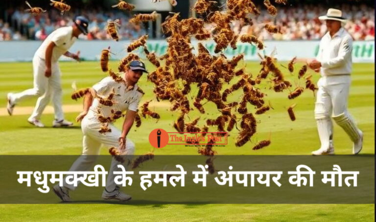 चलते मैच में मधुमक्खियों का हमला, अंपायर की हुई मौत कई खिलाड़ी घायल