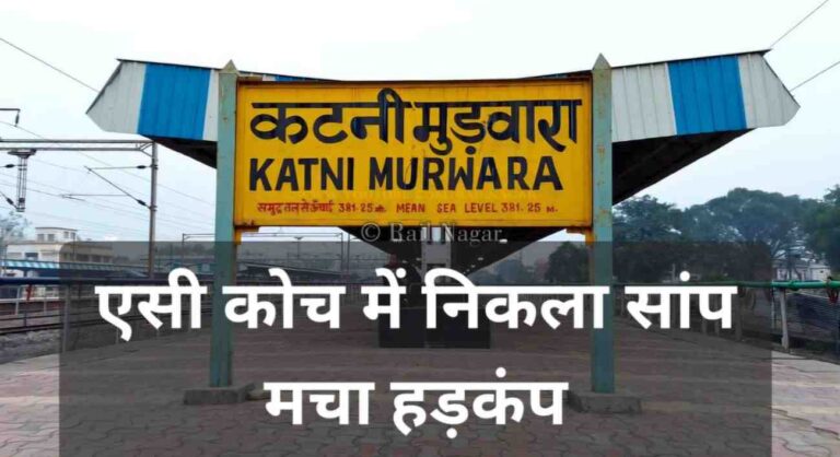 AC कोच के टॉयलेट में सांप की खबर से मचा हड़कंप, जांच में निकली अफवाह